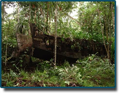 Landing barge used by allied forces during the war and then dragged 1.5 klms inland to where it now rests just 15 klms east of Alotau